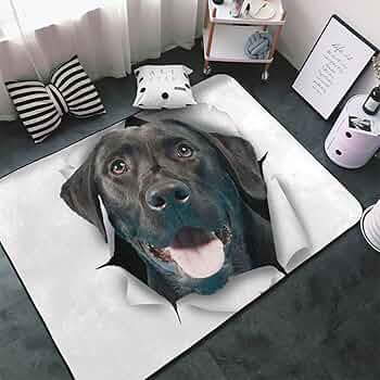 Amazon | 可愛い ラブラドール・レトリバー 犬柄 カーペット